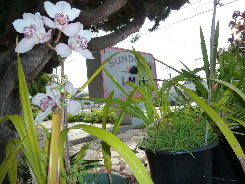 Sundown Inn Of Morro Bay Exterior photo